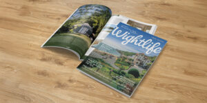 Wightlife Q2 2025